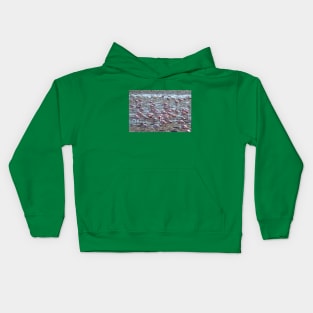 Namibia. Walvis Bay. Another Flamboyance of Flamingos. Kids Hoodie